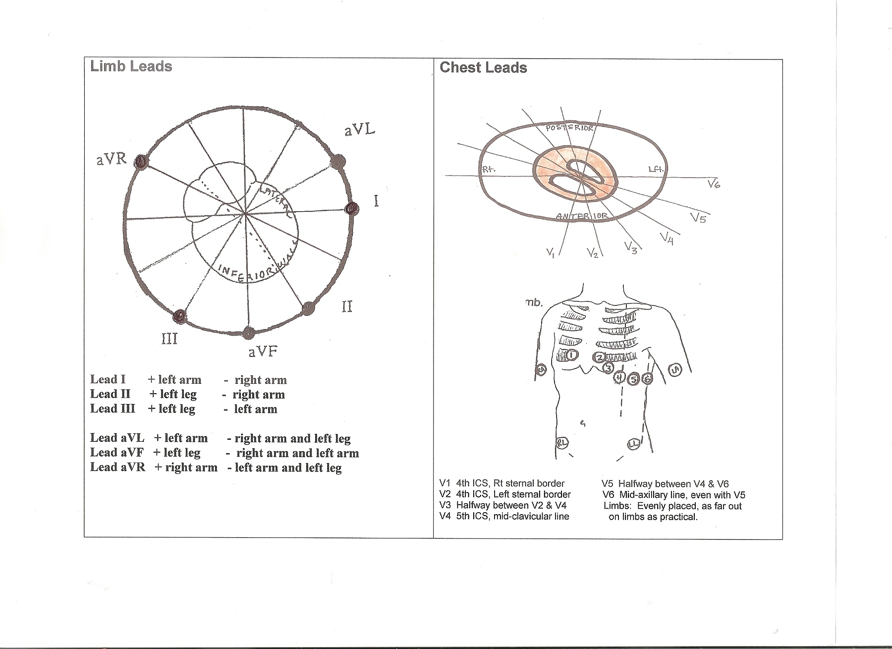 Heart Art | Page 3 | ECG Guru - Instructor Resources ekg heart diagram 